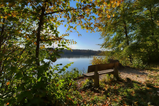 行动力与策 行动力与策