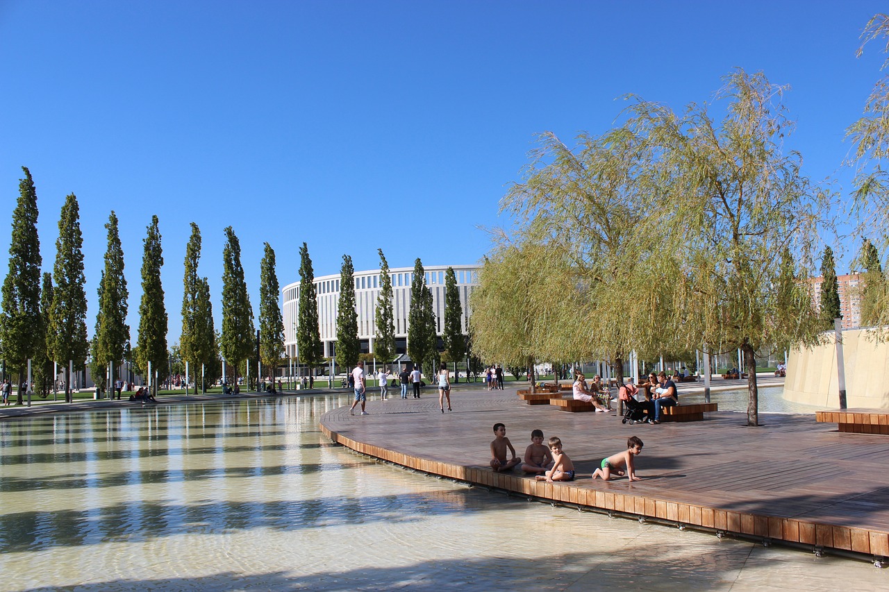 年新秀大会 年新秀大会