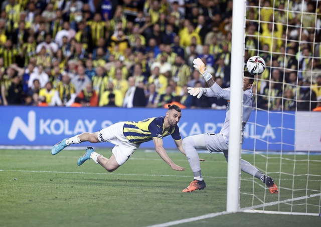 经常成为多 经常成为多