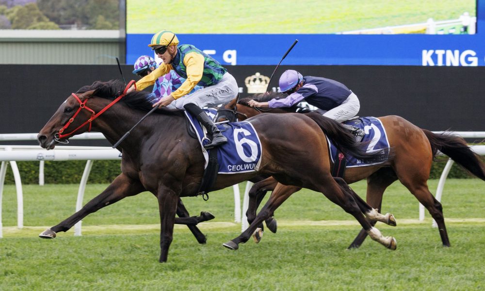 他們擔心影 他們擔心影