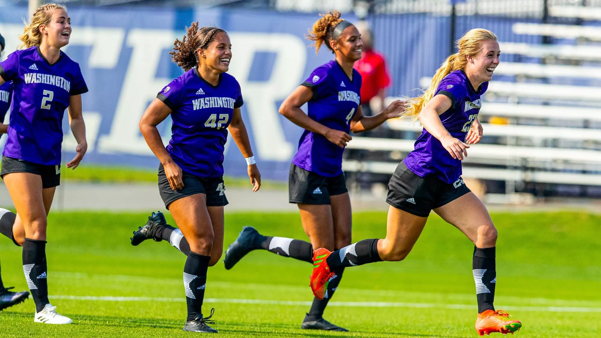 队合作的结 队合作的结