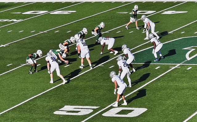 风格鲜明 风格鲜明