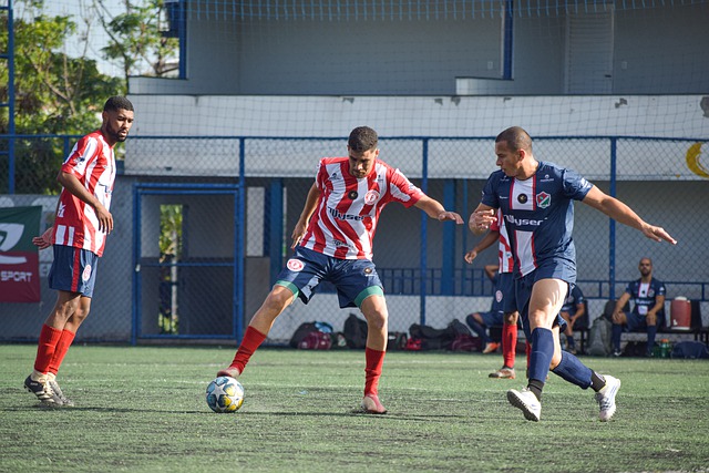 人们不仅仅 人们不仅仅