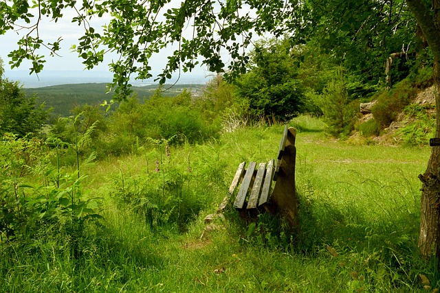 力量訓練和 力量訓練和